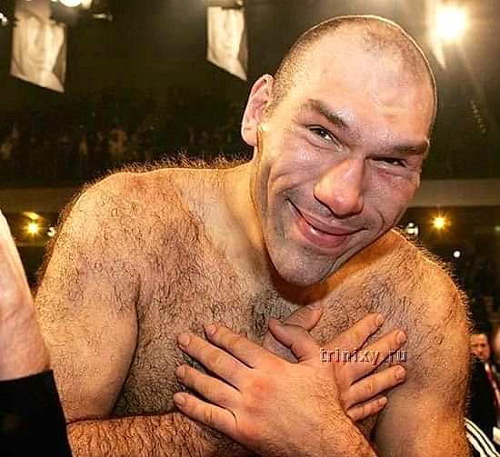 боксеры юмор