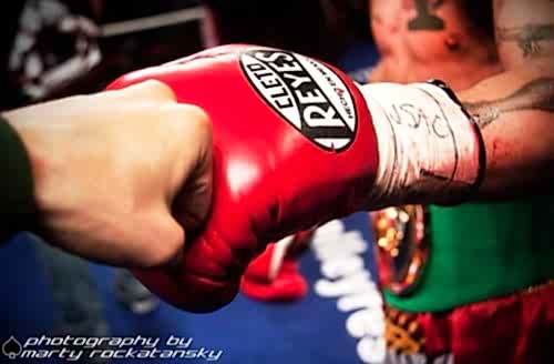 боксерские перчатки cleto reyes