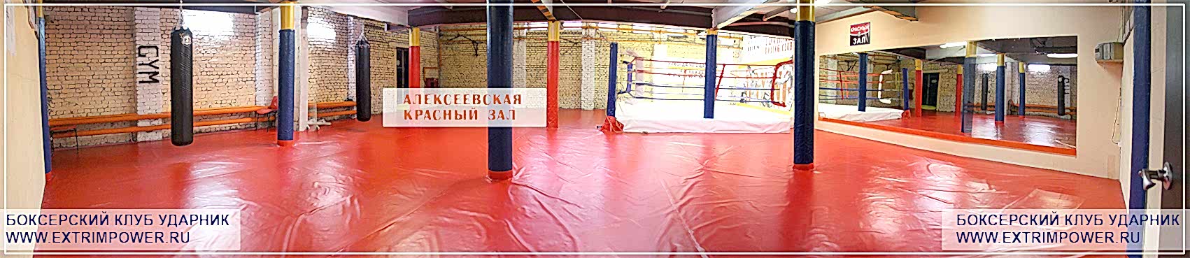 боксерский клуб ударник алексеевская