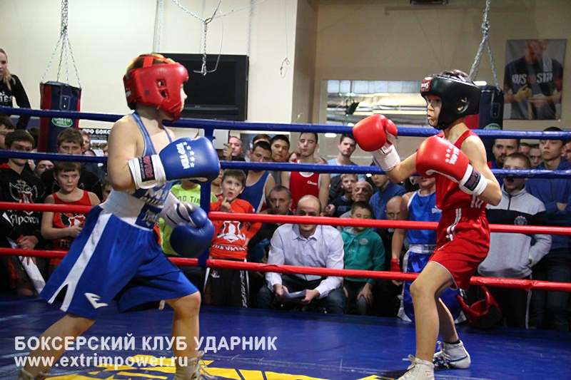 клуб бокса ударник москва ударная сила