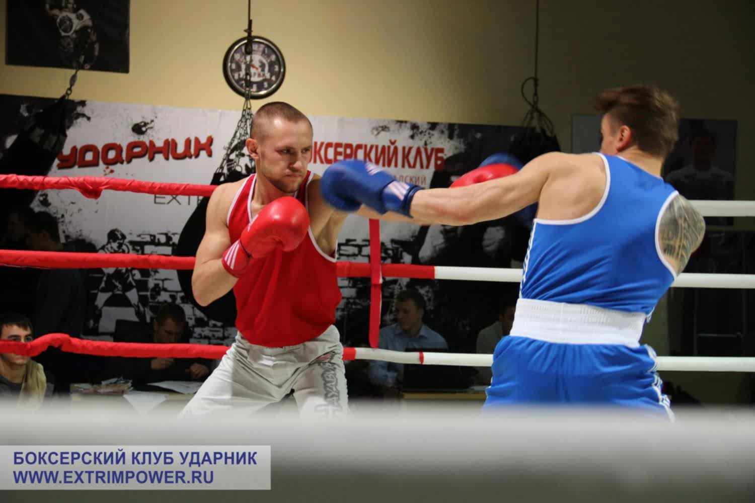 Открытый ринг БК Ударник Волгоградский проспект 23 января 2016