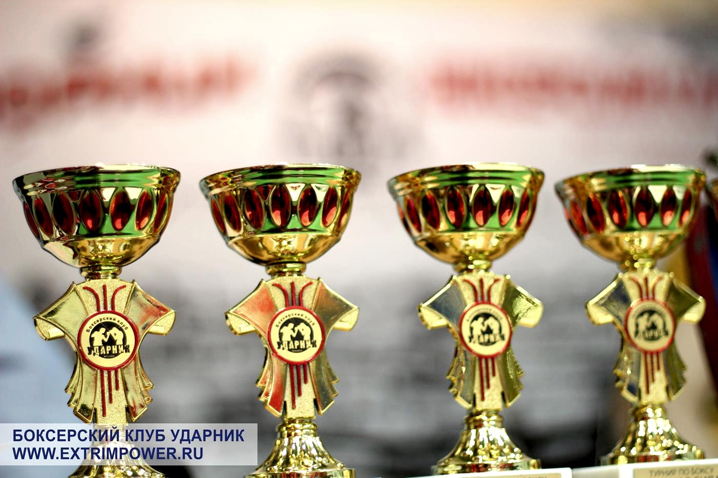 турнир Ударная сила 8 в БК Ударник