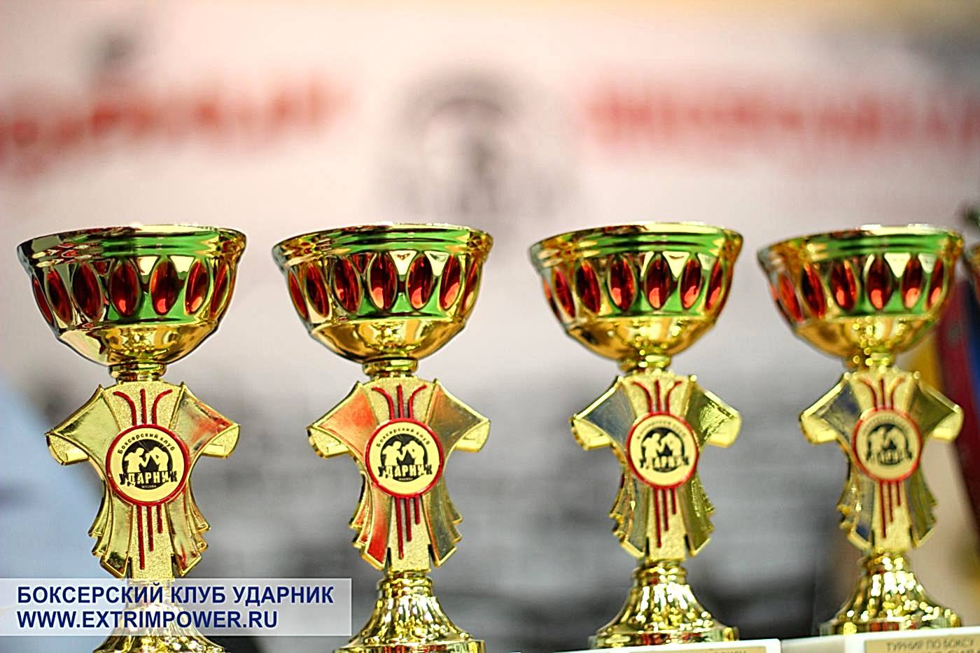 Детско-юношеский турнир Ударная сила 9. 15-16 апреля 2016