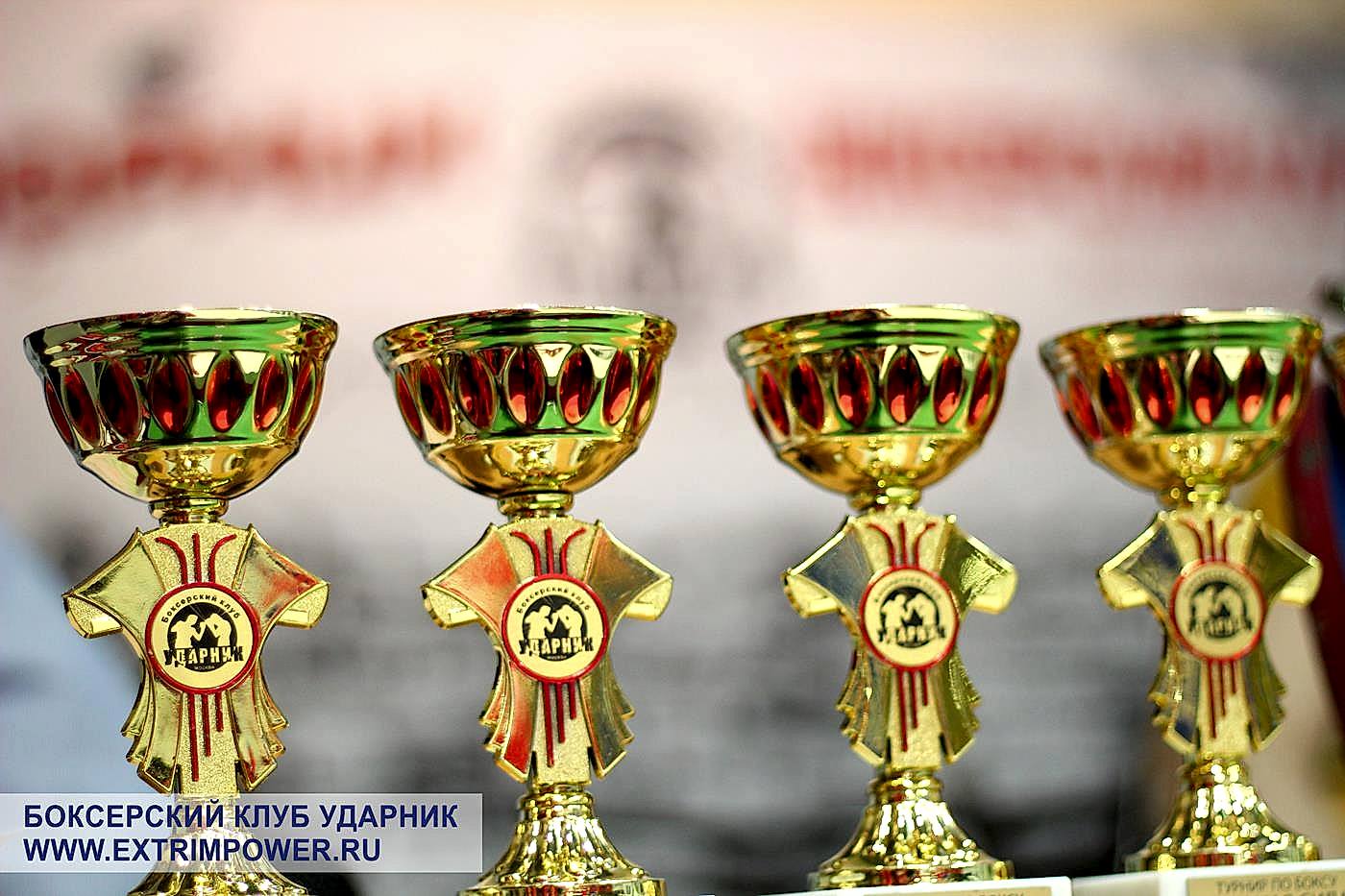 27 ноября 2016. Открытый ринг Ударник Электрозаводская