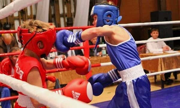 лемешева степашкина 2017 бокс Москва
