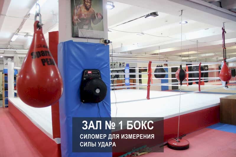 аренда подушки силомера