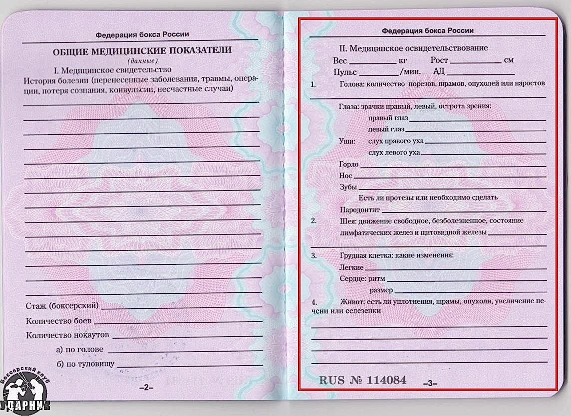 Паспорт боксера. как получить и заполнить.