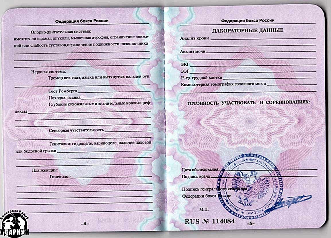 Паспорт боксера. как получить и заполнить.