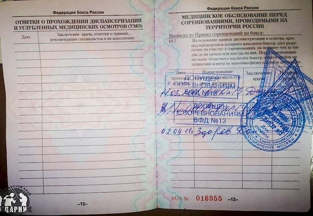 Паспорт боксера. как получить и заполнить.