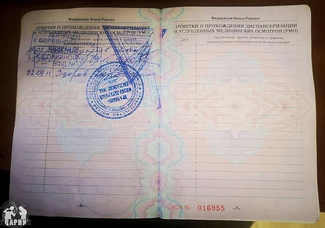 Паспорт боксера. как получить и заполнить.