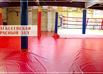 club_udarnik_alekseevskaia_panorama_01